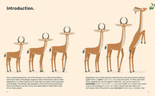 Load image into Gallery viewer, The World’s Most Ridiculous Animals