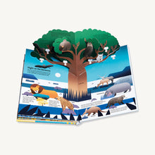 Load image into Gallery viewer, The Ultimate Spotlight: Savanna Animals