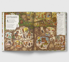 Load image into Gallery viewer, Grand Old Oak and the Birthday Ball – More than 100 Things to Find