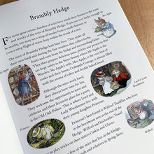 Load image into Gallery viewer, Spring Story: Brambly Hedge