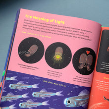 Load image into Gallery viewer, Curious Creatures Glowing In The Dark