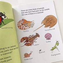 Load image into Gallery viewer, A Mammal is an Animal