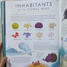 Load image into Gallery viewer, Blue Planet II