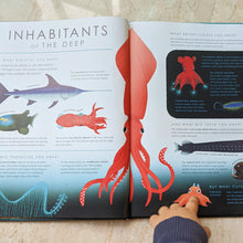 Load image into Gallery viewer, Blue Planet II