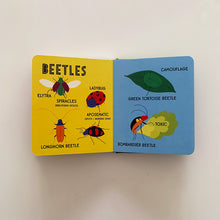 Load image into Gallery viewer, My First 100 Bug Words