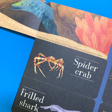 Load image into Gallery viewer, Hidden World: Ocean (Lift-the-flap)