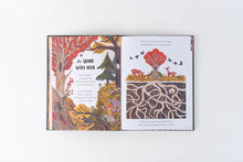 Load image into Gallery viewer, 5 Minute Nature Stories