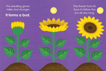 Load image into Gallery viewer, Montessori – Seed Work