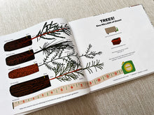 Load image into Gallery viewer, One Million Trees