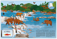 Load image into Gallery viewer, Atlas of Animals Adventures