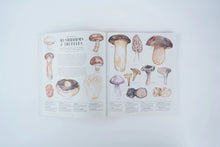 Load image into Gallery viewer, Feast Your Eyes on Food