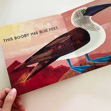 Load image into Gallery viewer, Odd Birds: Meet Nature's Weirdest Flock