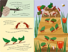 Load image into Gallery viewer, Bees &amp; Beetles: A Flip-Flap Book of Bugs
