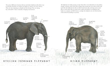 Load image into Gallery viewer, The Elephant
