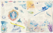 Load image into Gallery viewer, The Lost Book of Undersea Adventure
