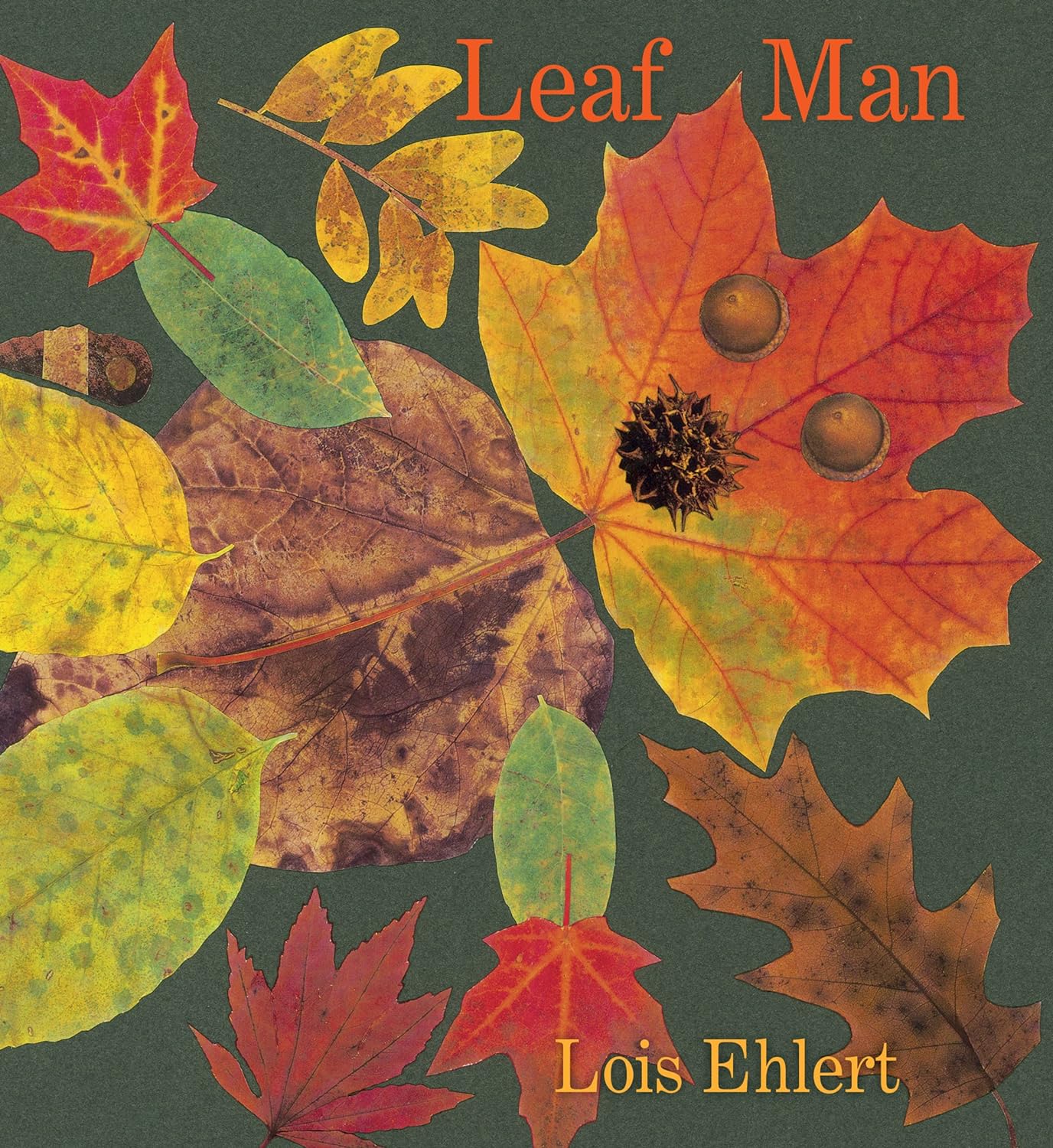 Leaf Man (Board Book)