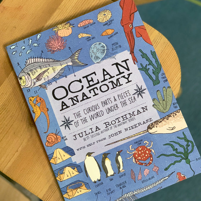 Ocean Anatomy: The Curious Parts & Pieces of the World under the Sea