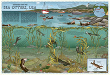 Load image into Gallery viewer, Atlas of Ocean Adventures

