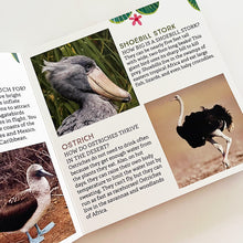 Load image into Gallery viewer, Odd Birds: Meet Nature&#39;s Weirdest Flock

