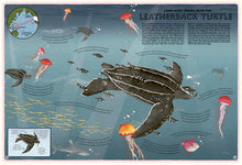 Load image into Gallery viewer, Atlas of Ocean Adventures
